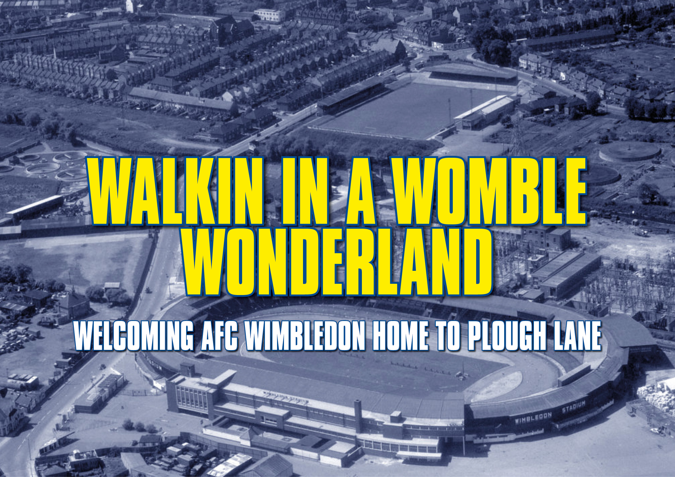 WombleWonderland