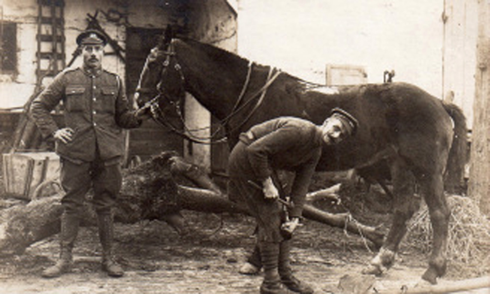 farrier