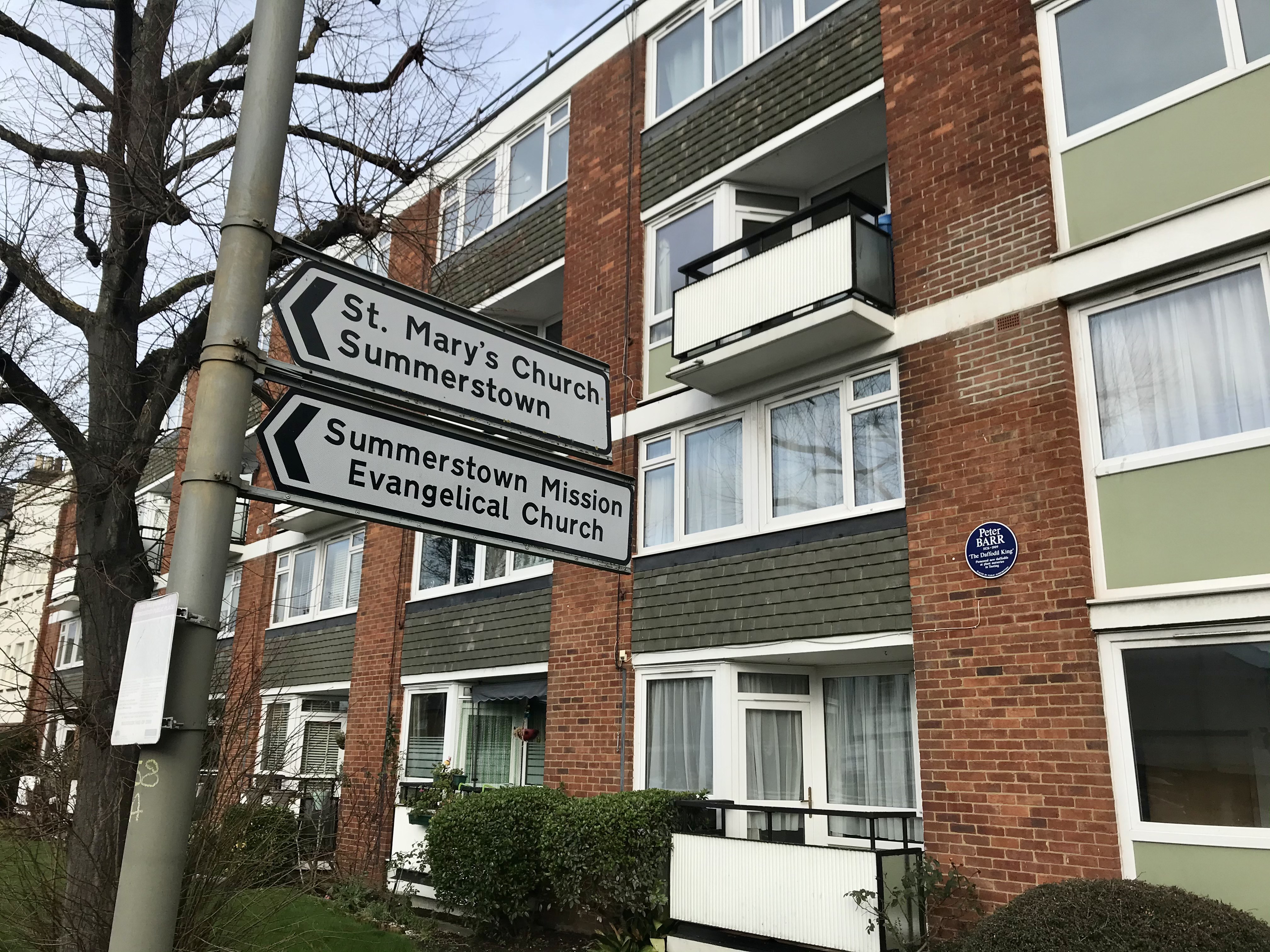 Daffidil King plaque, Summerstown