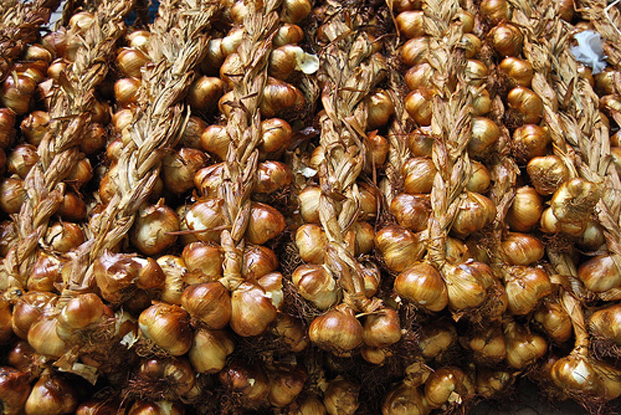 garlic