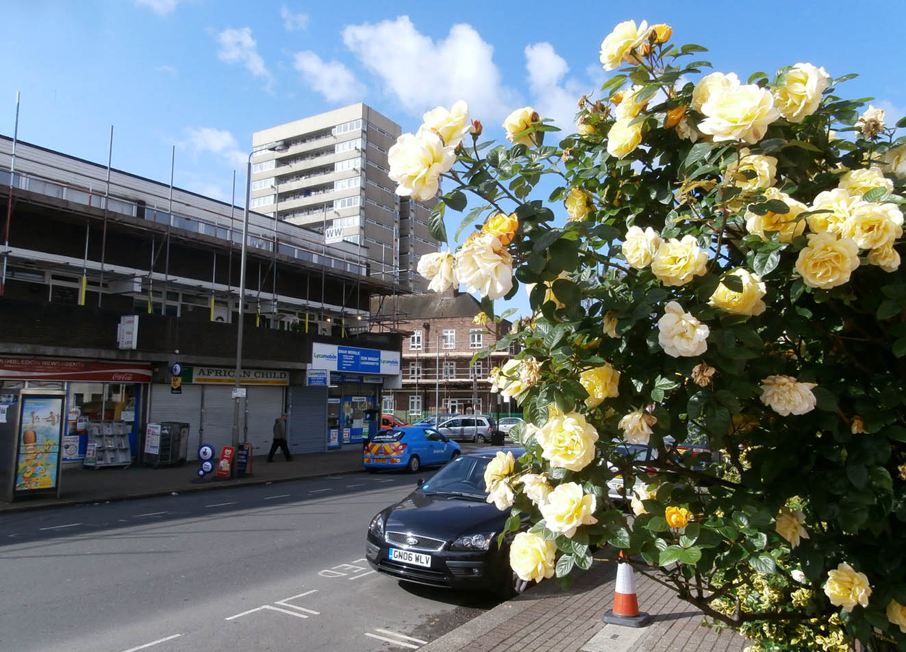 OLYMPUS DIGITAL CAMERA