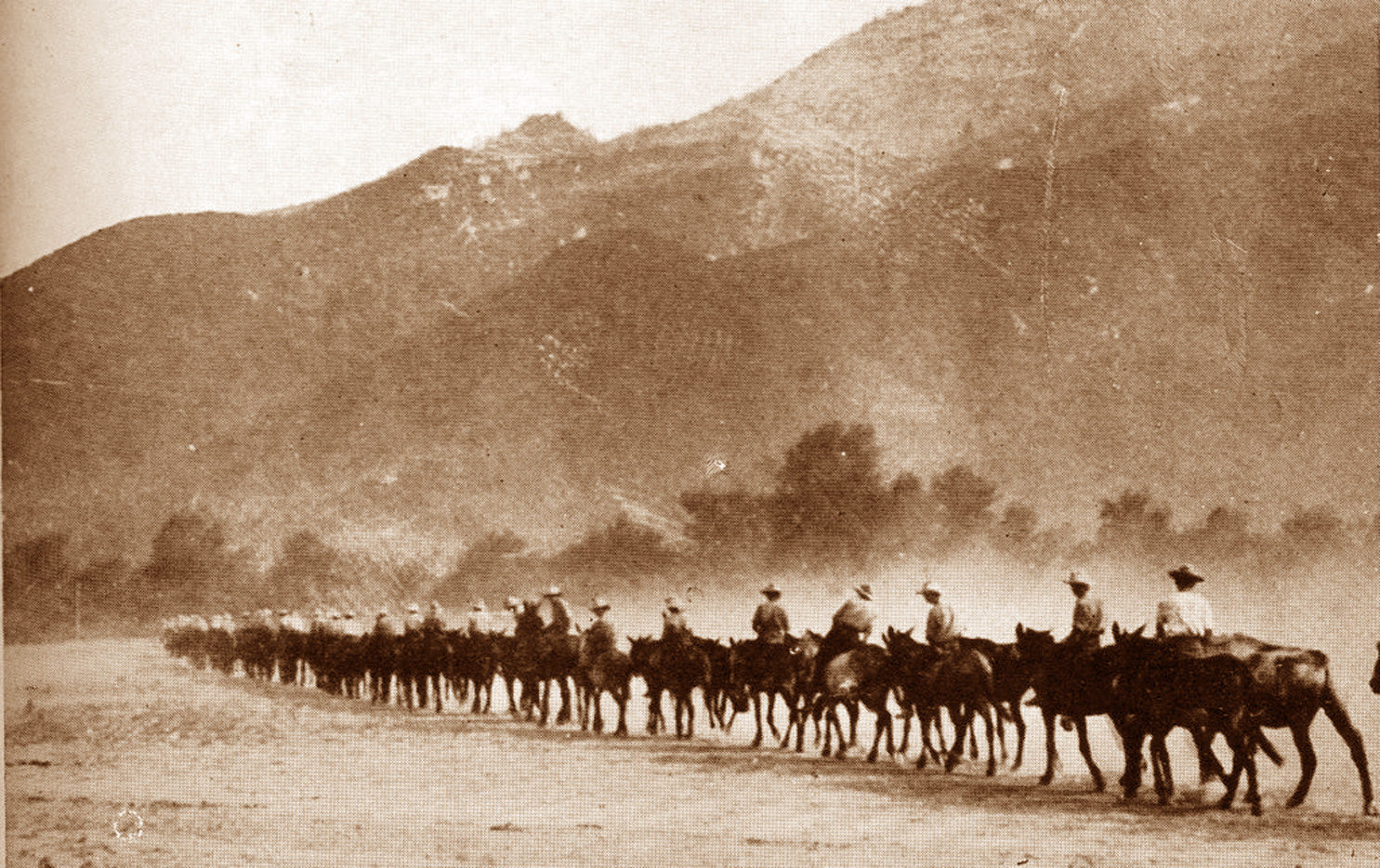 mules_mountains-1024x644