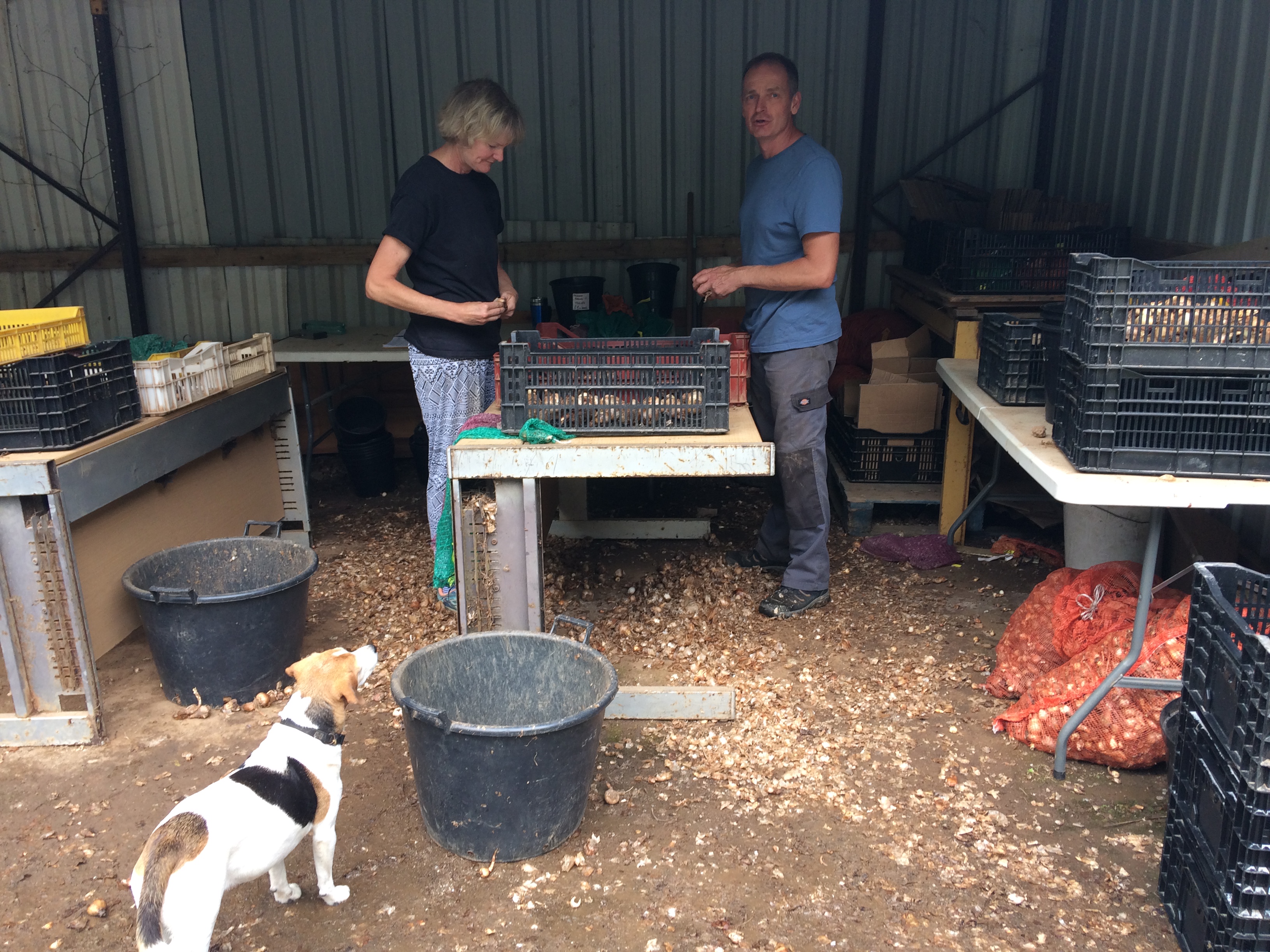 743E71BF-7BB9-4572-B07C-296E67396419