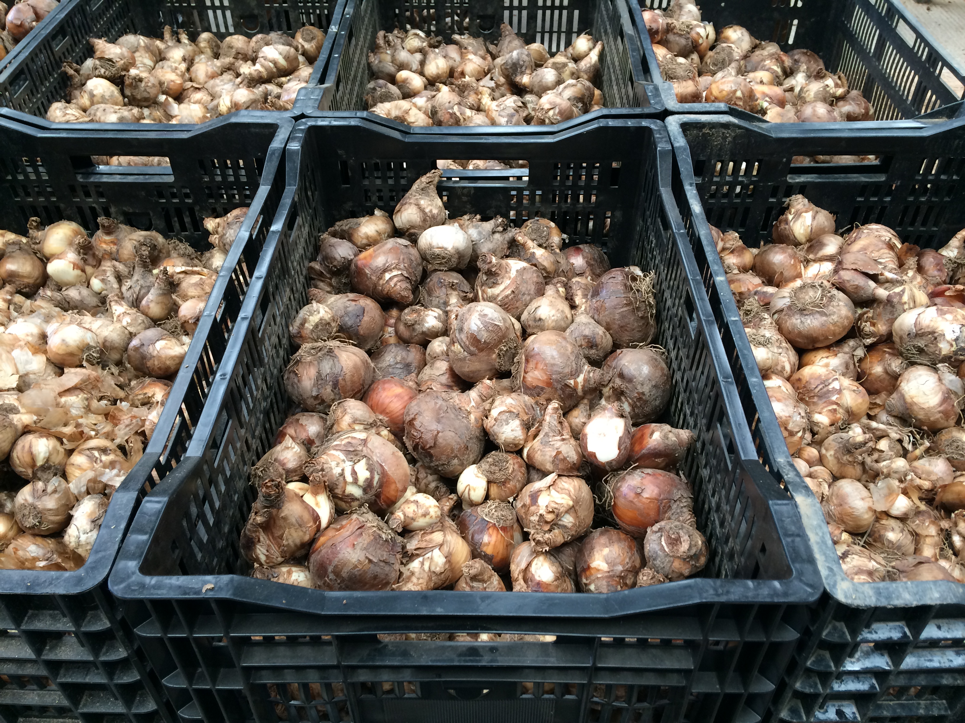 E32B14BD-EA49-4ECF-8EAA-D2BBA44BF0FE