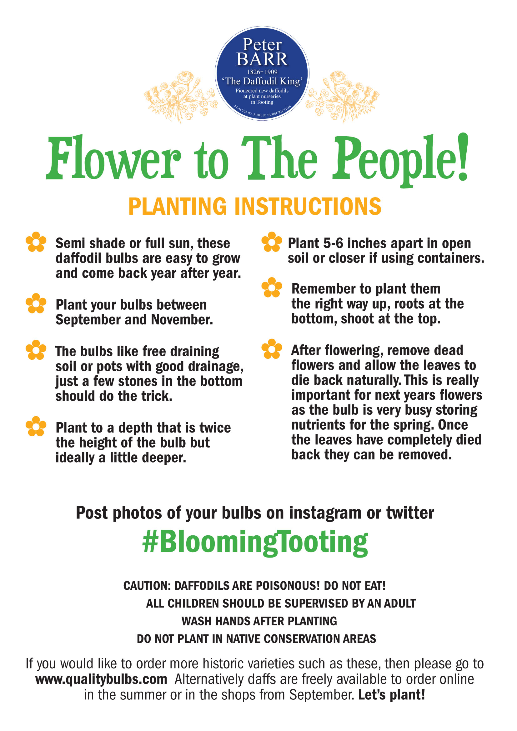 PlantingInstructionsBIG