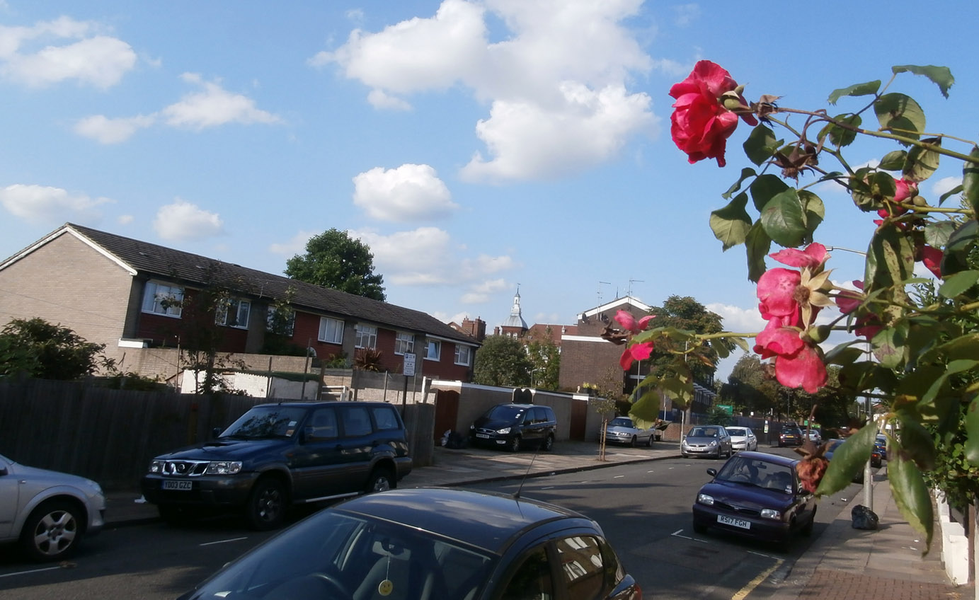 OLYMPUS DIGITAL CAMERA